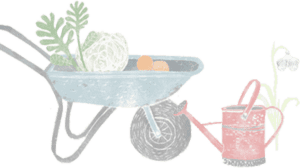 wheelbarrow