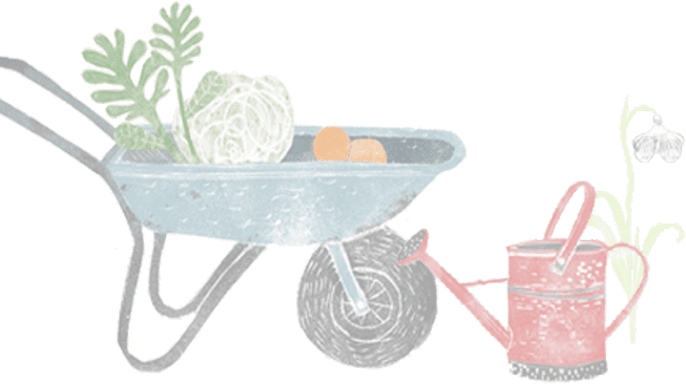 wheel barrow