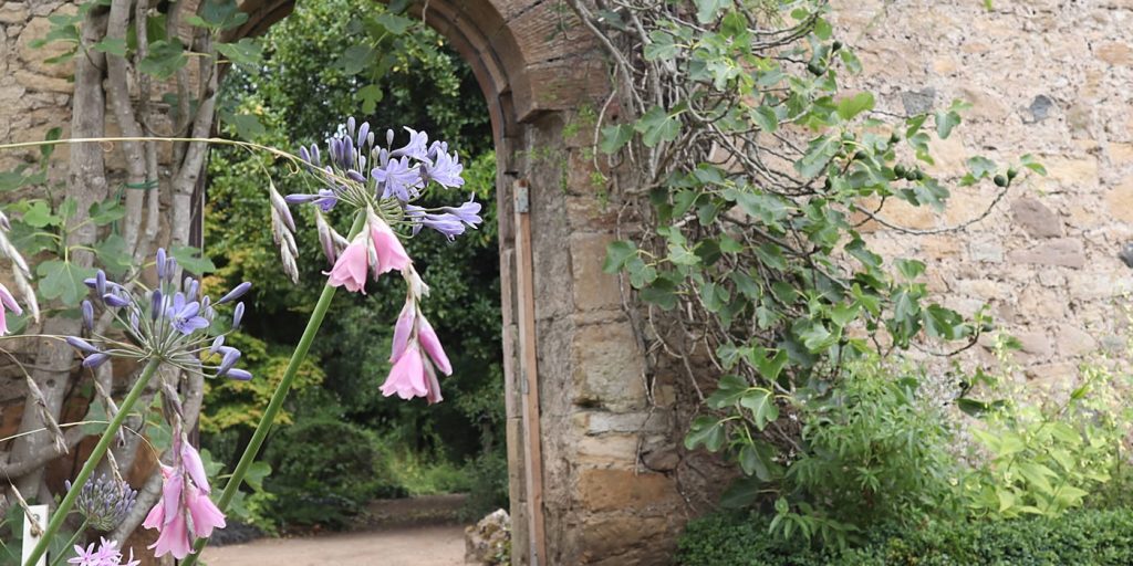 cambo arch way