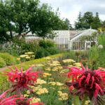 cambo gardens