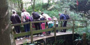 cambo school excursions