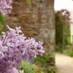 cambo walled garden