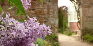 cambo walled garden