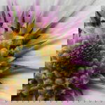 large flower