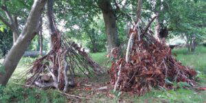 outdoor activities at cambo