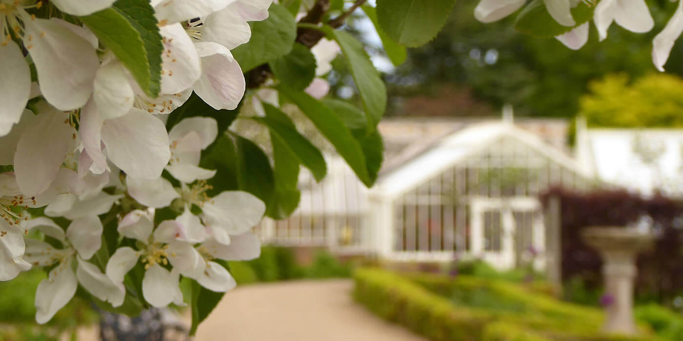 cambo visitor gardens fife