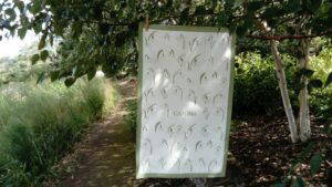 Cambo "Lady" Snowdrop Tea Towel