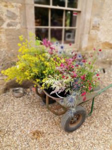 Spring flower festival - cut flowers with Fay