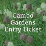 Cambo Gardens Entry Tickets