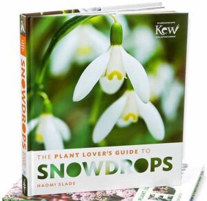 Plant Lover's Guide to Snowdrops