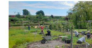 Seaweed Compost & Craft