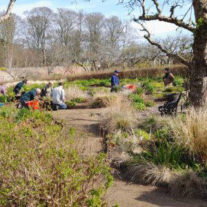 Garden with Cambo! Volunteer sessions