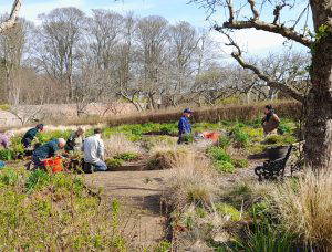 Garden with Cambo! Volunteer sessions