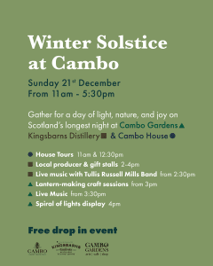 Winter solstice celebration