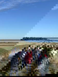 Wonder Festival: New Year’s winter bird walk for beginners