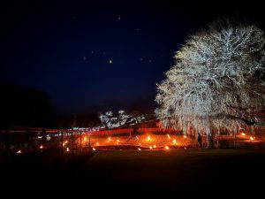 Wonder Festival  – Nature, Arts, Wellbeing