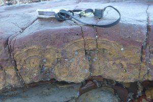Origin of Local Rocks