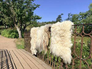 Felted fleece workshop at Cambo